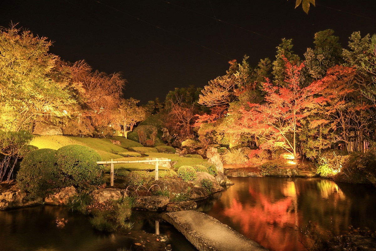 妙心寺退蔵院 秋